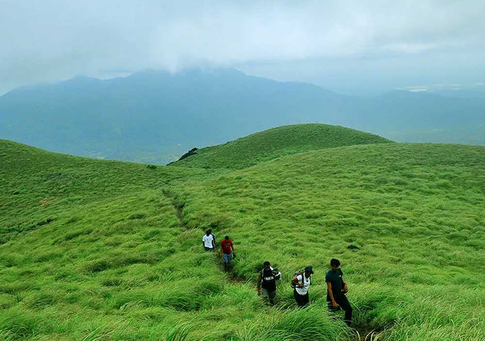 Stingray Tribe Camping In Tentsile Tree Tents In Kerala
